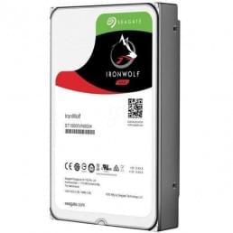 Seagate IronWolf Pro 4 TB (ST4000NE001)